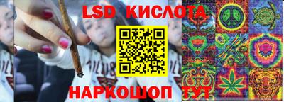 индика Нальчик