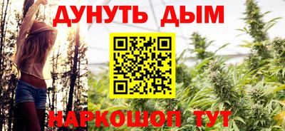 индика Нальчик